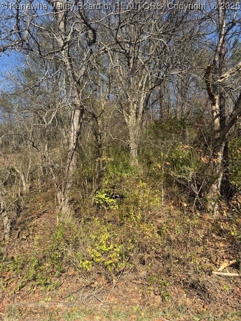 0 Kay Neva Ln, Charleston, WV 25312 - photo 1