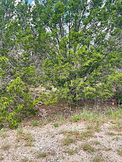 Sold • Co-Listing Agent