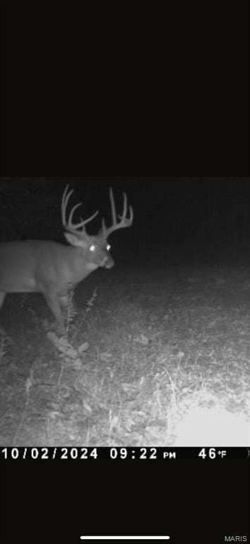 For Sale $228,000 • Co-Listing Agent