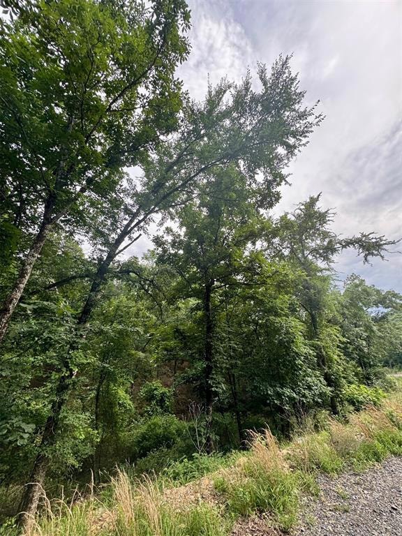 132 Western Cedar Trail, Hochatown, OK 74728 - photo 1