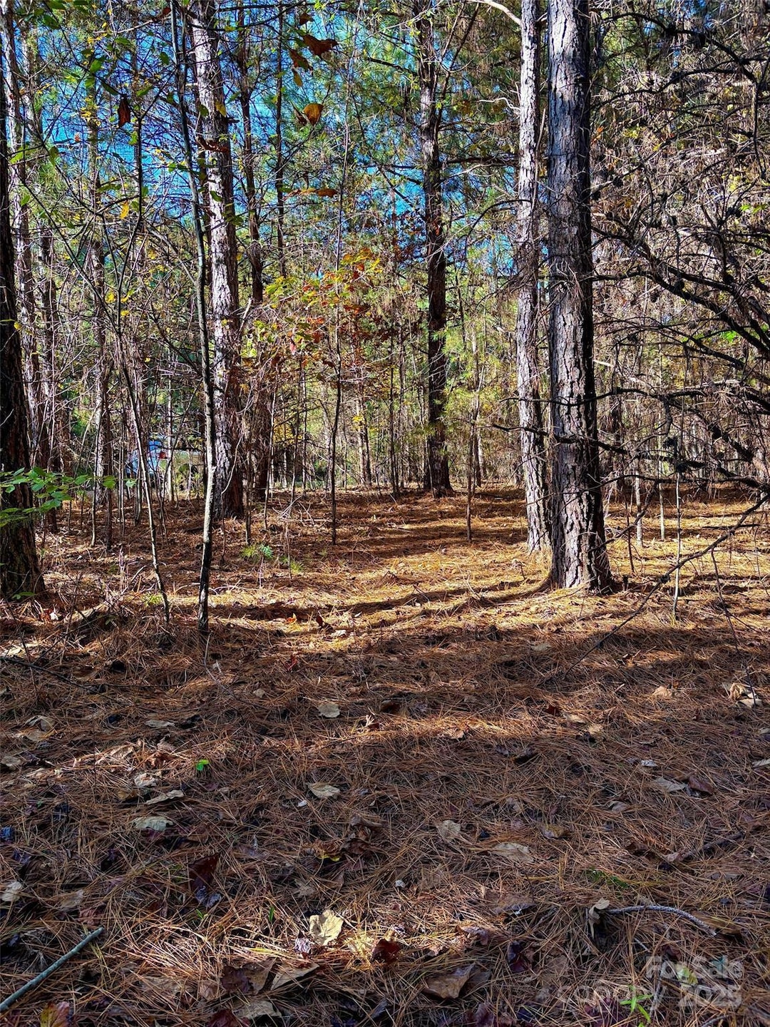 0 Cross Creek Dr unit 261 CAR4231323, Rutherfordton, NC 28139 - photo 1