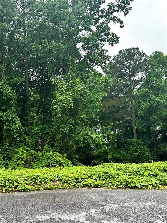 View of asphalt street with a wooded view