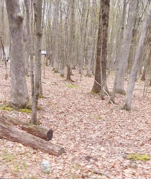 0 Tall Oak Rd unit 408 714035, Tunkhannock Township, PA 18210 - photo 1