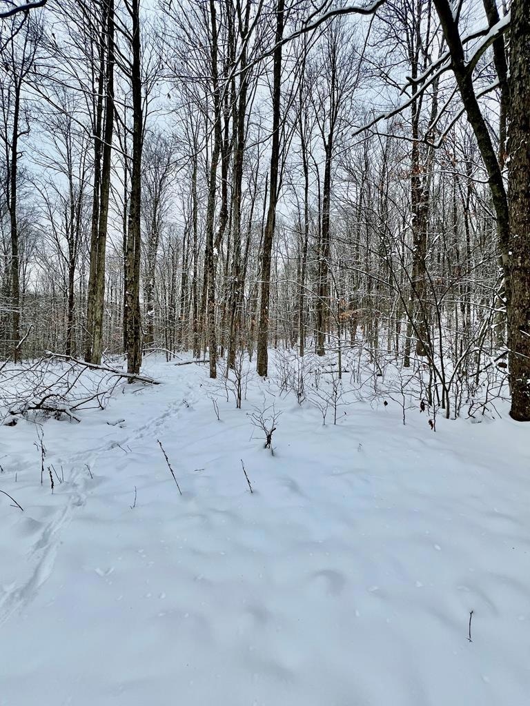 00 Brizzee Hollow, Genesee, PA 16923 - photo 1