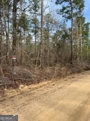 0 Busby Rd unit 10479601, Statesboro, GA 30458 - photo 1