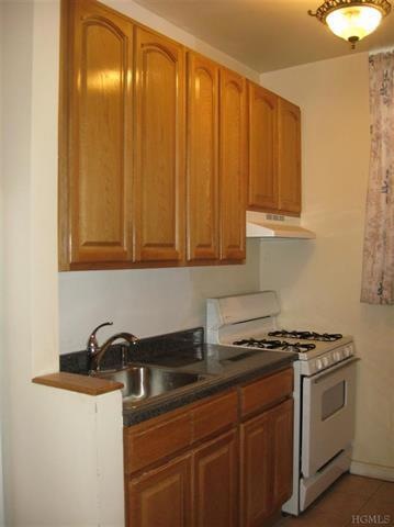 43 Bronx River Rd unit 1K, Yonkers, NY 10704 - photo 1