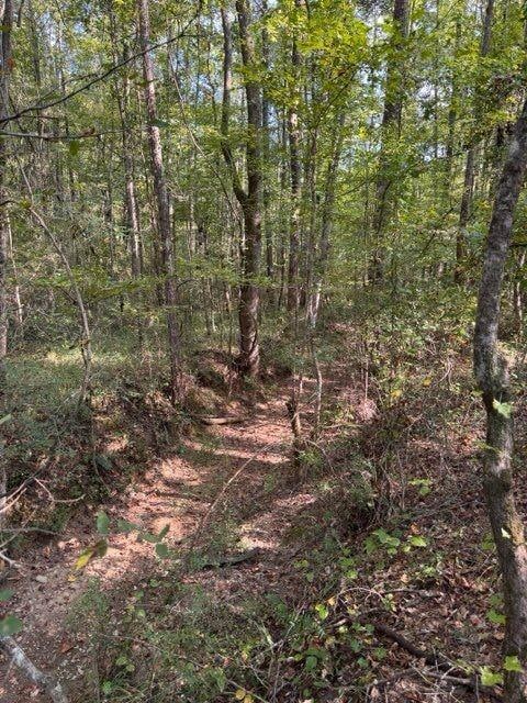 0 County Road 30, Berry, AL 35546 - photo 1