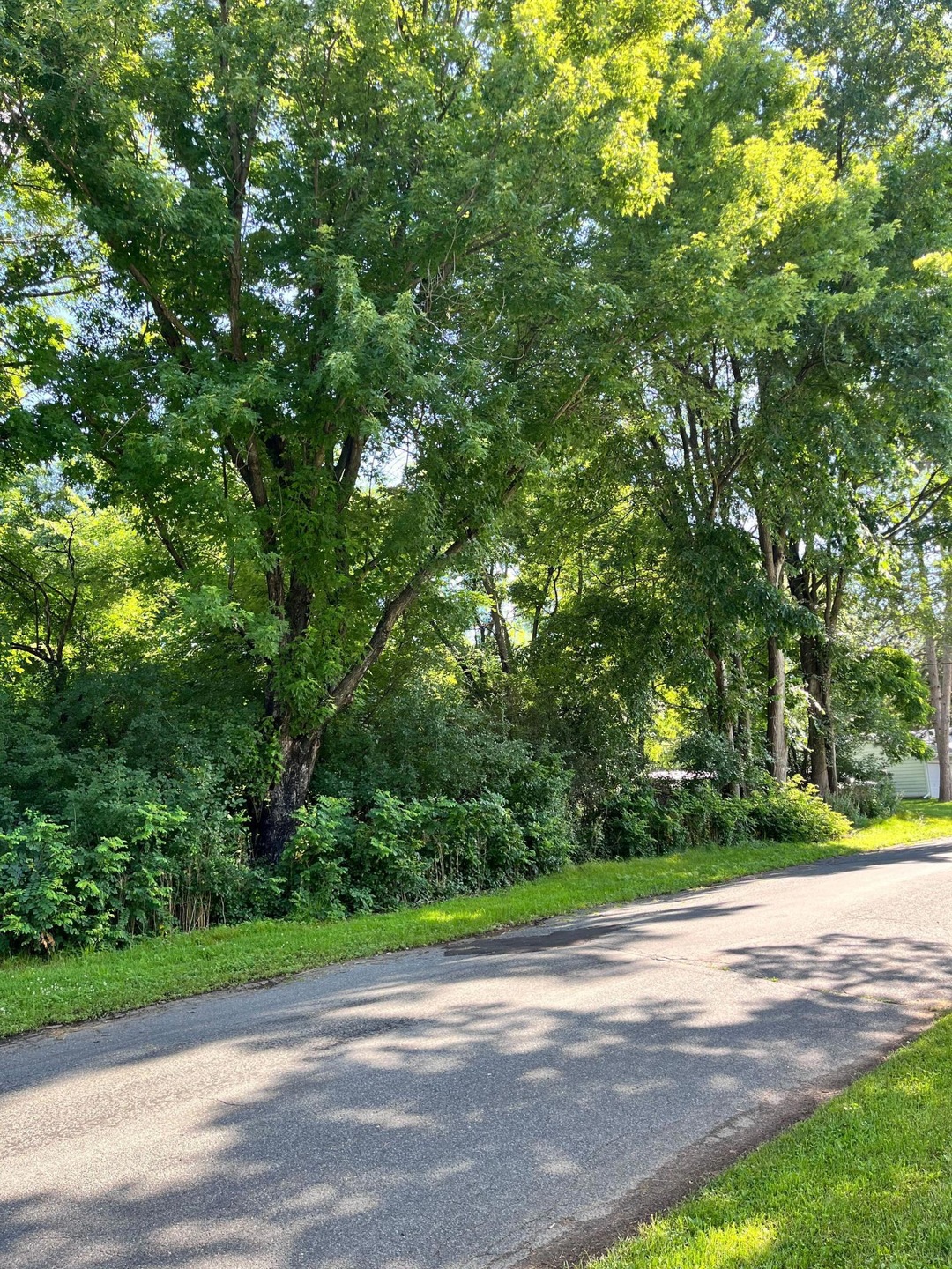 1503 1st Ave E, Menomonie, WI 54751 - photo 1