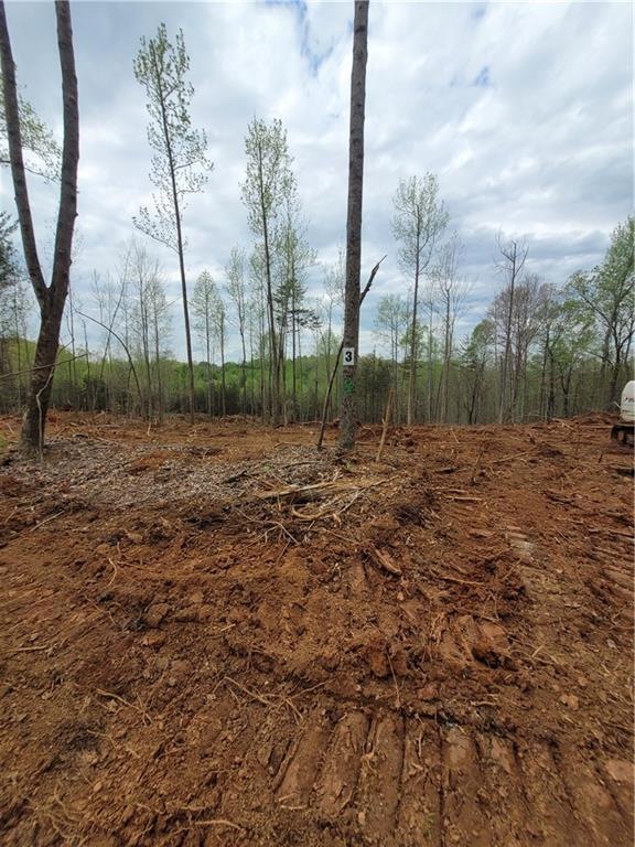 3 Auraria Rd, Dahlonega, GA 30533 - photo 1