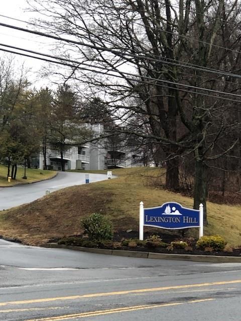 2 Lexington Hill unit 11, Harriman, NY 10926 - photo 1