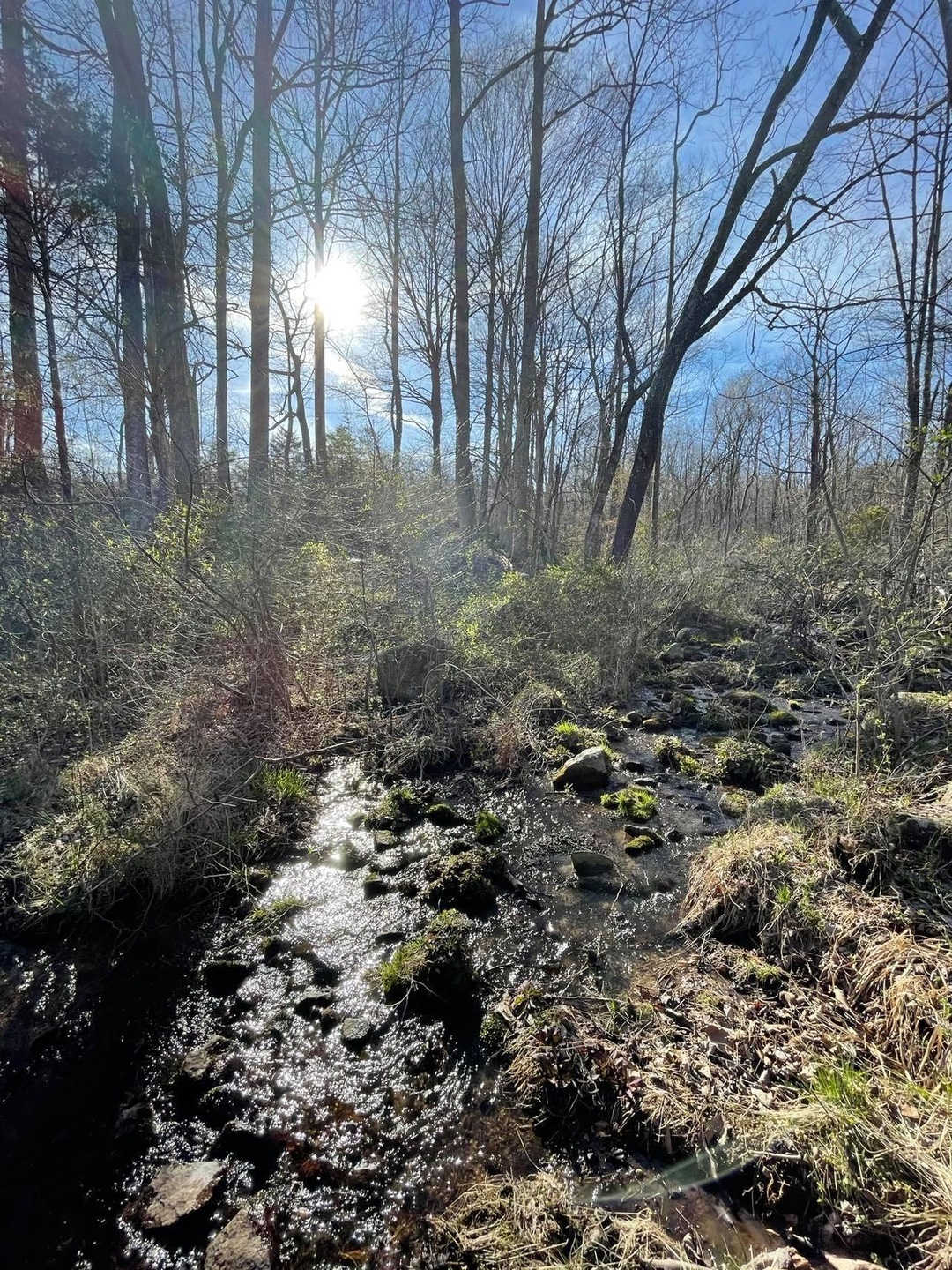 Creek View