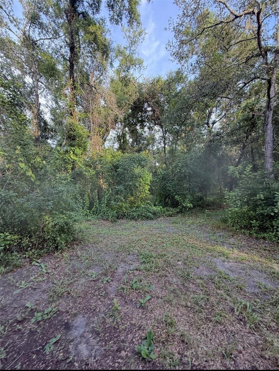 12300 Walter St, Hudson, FL 34669 - photo 1