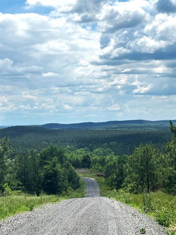 75 Sliding Hill Trail, Broken Bow, OK 74728 - photo 1