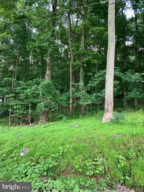 0 Wilderness Rd unit VAWR137604, Linden, VA 22642 - photo 1