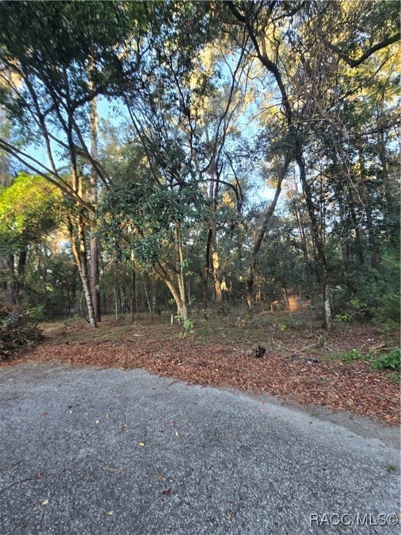 This oversized lot is in an area of high-quality c