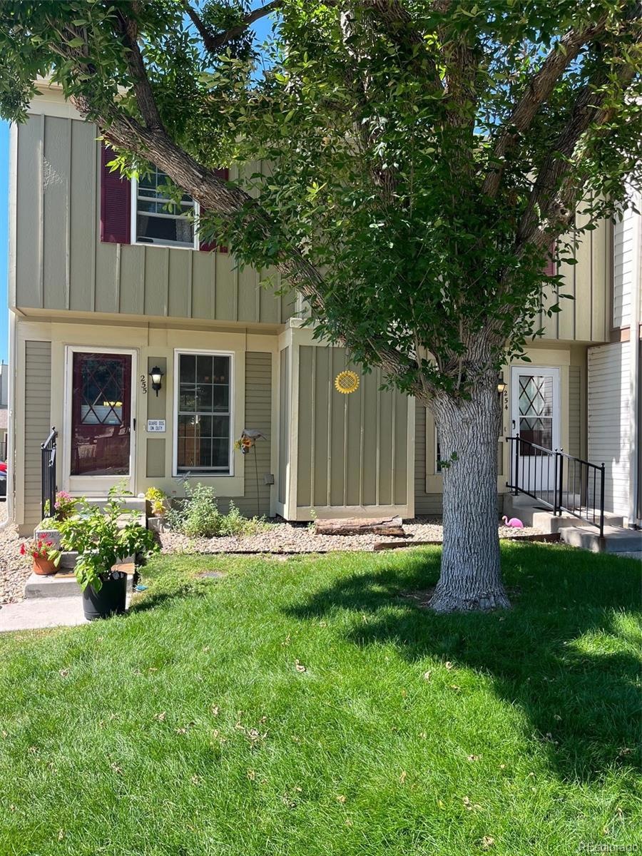 Shady front yard!