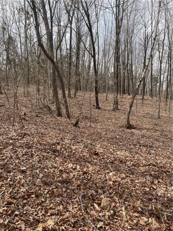 10 AC Stout Mountain Rd, Fayetteville, AR 72701 - photo 1