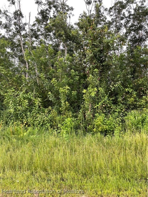 8046 Ancha St,
Street view