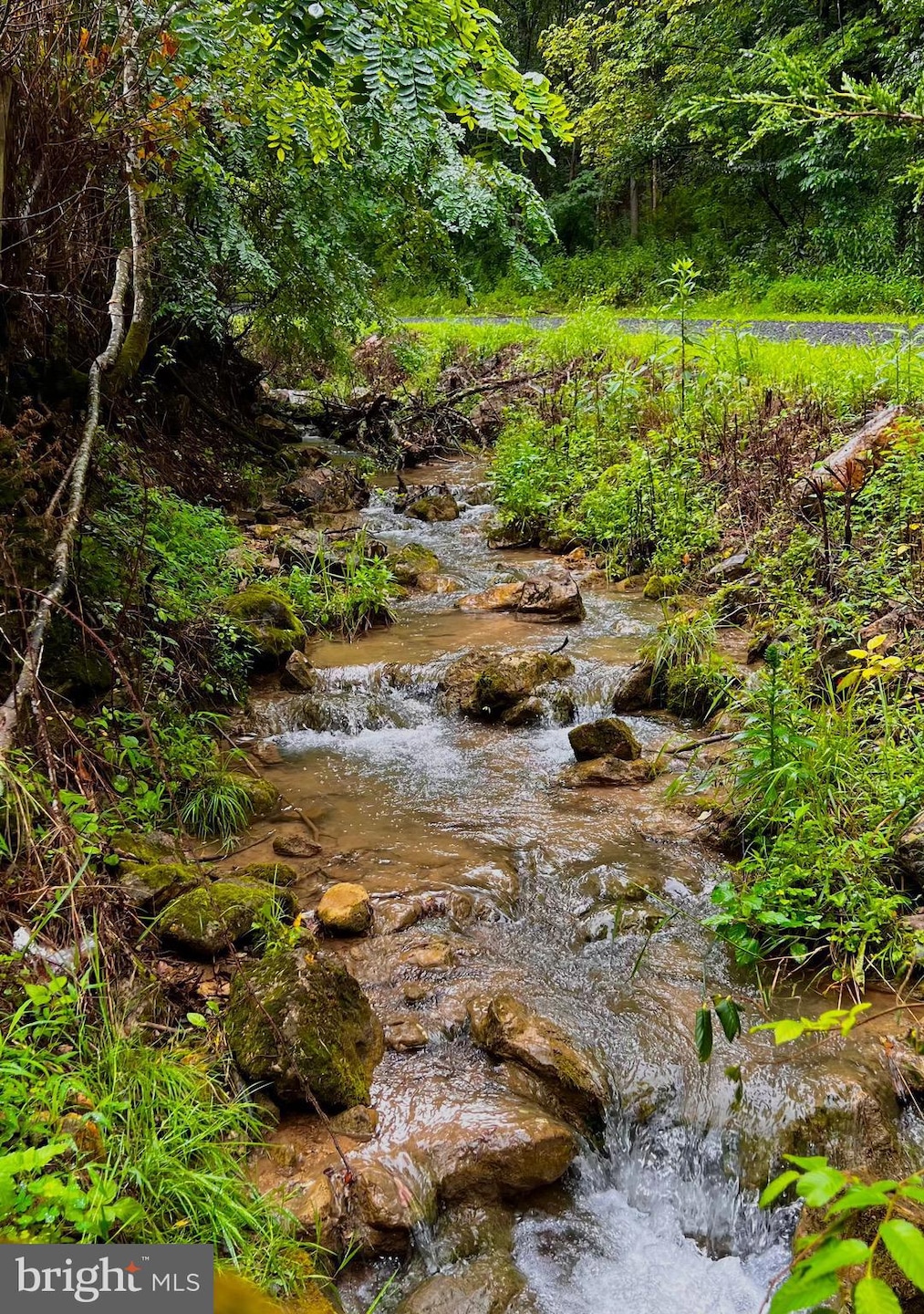 2563 Dumpling Run Rd, Moorefield, WV 26836 - photo 1