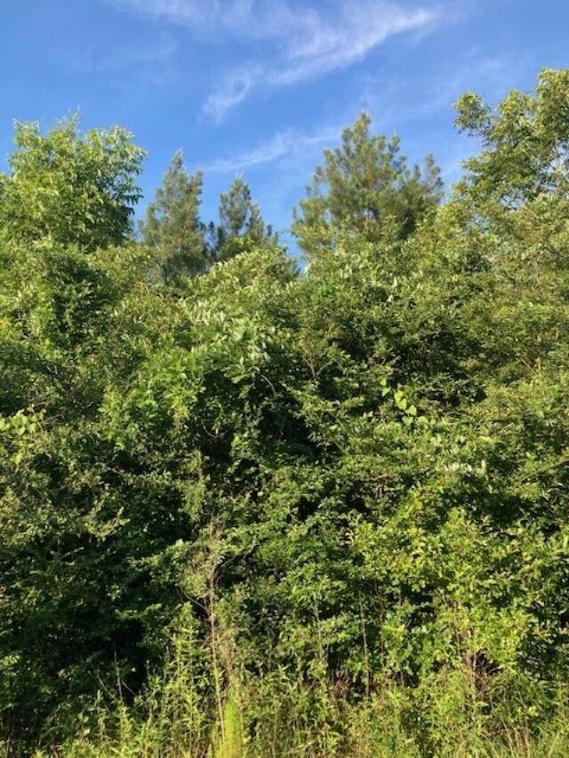 Graham Aultman Rd