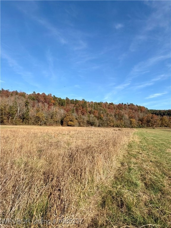 TBD Cr 4730, Hagarville, AR 72839 - photo 1