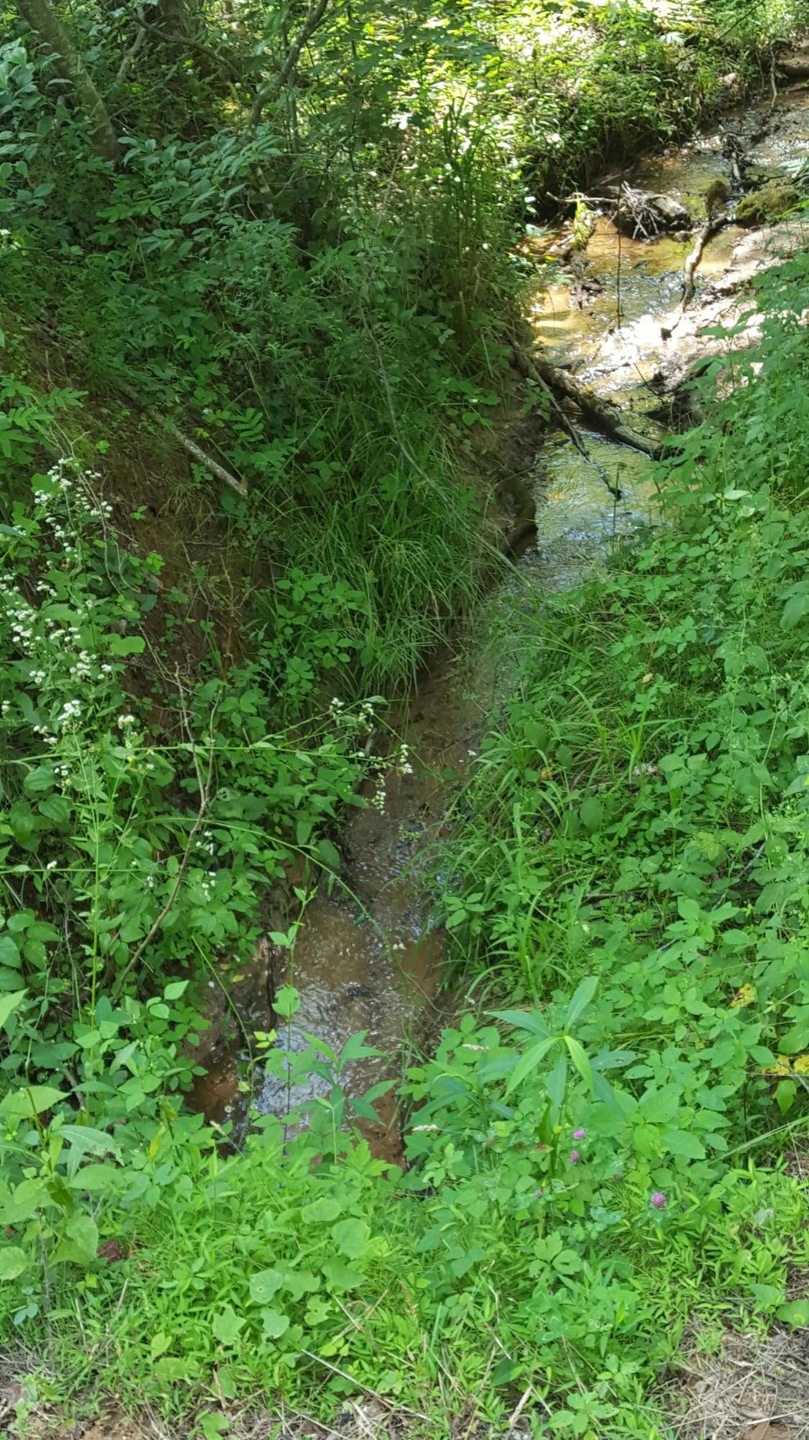 Creek on Property