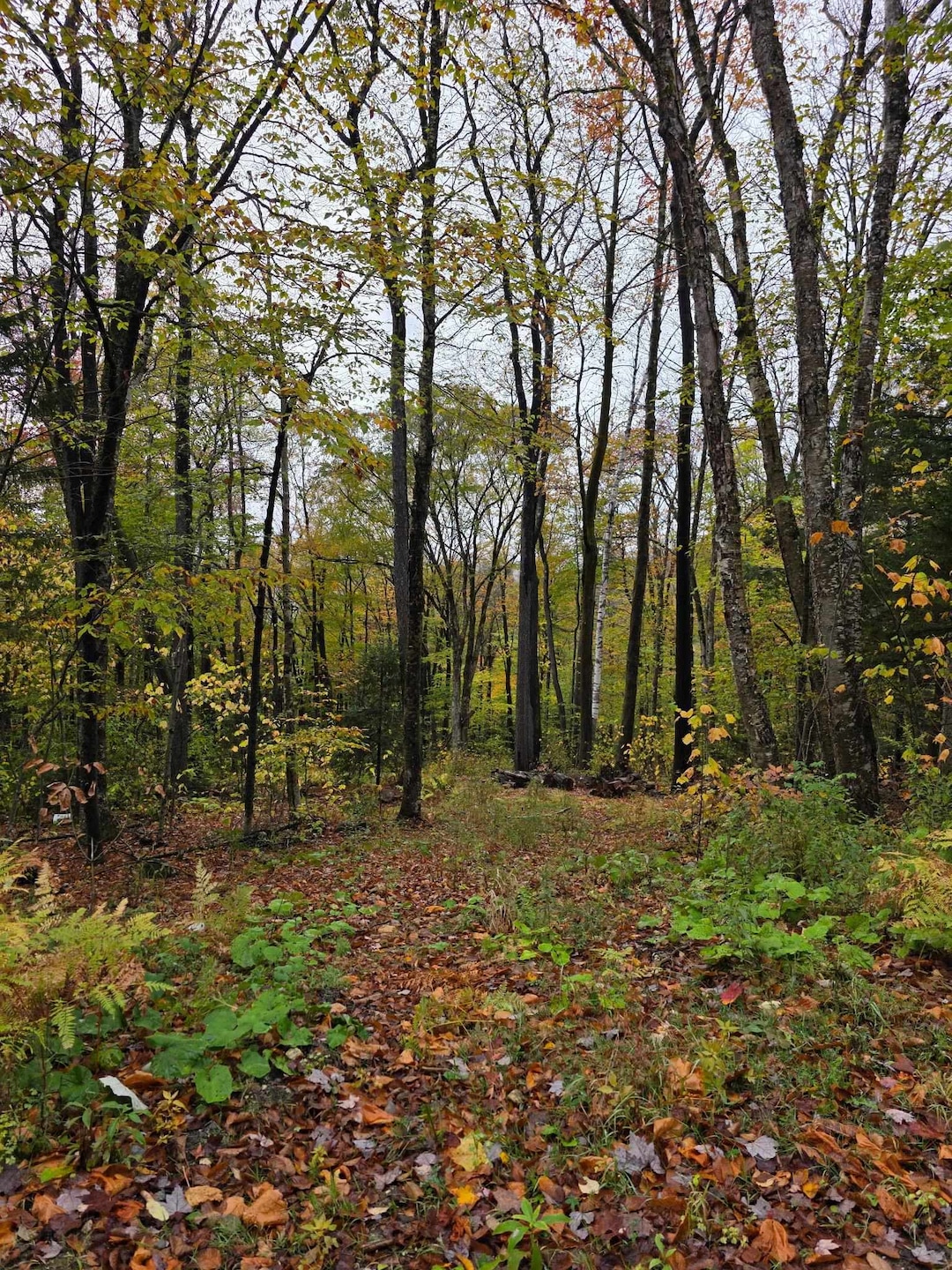 For Sale $74,900 • Co-Listing Agent