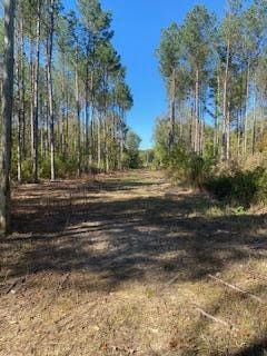 0 County Road 600, Booneville, MS 38829 - photo 1