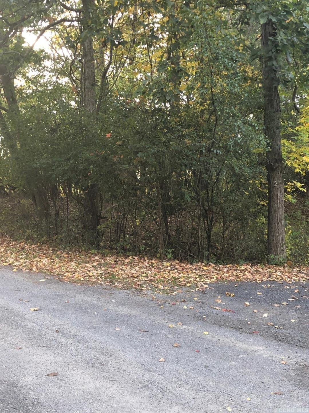 75 - RR Market Ln, Coxsackie, NY 12051 - photo 1