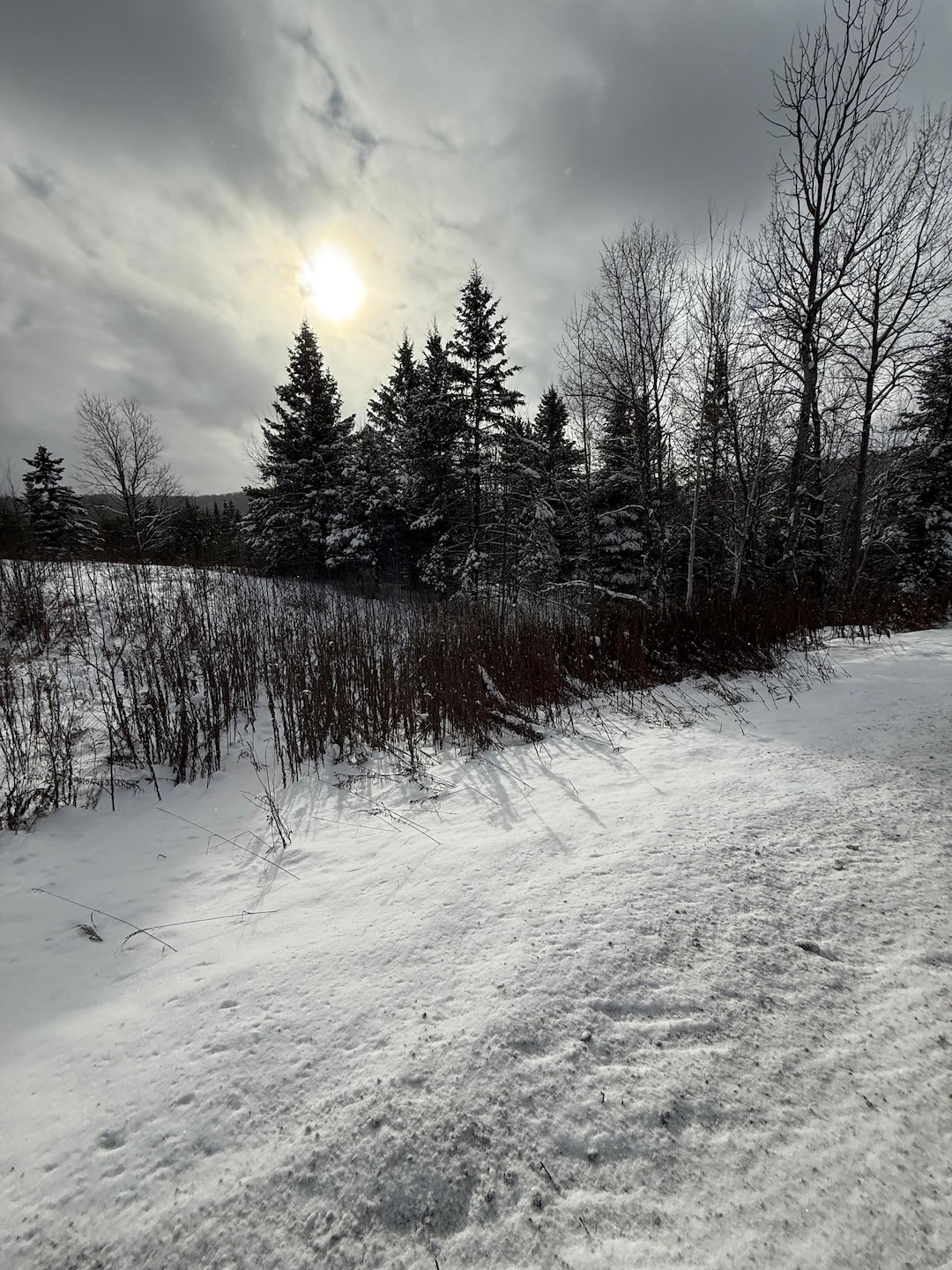 On U S Highway 2, Danville, VT 05828 - photo 1