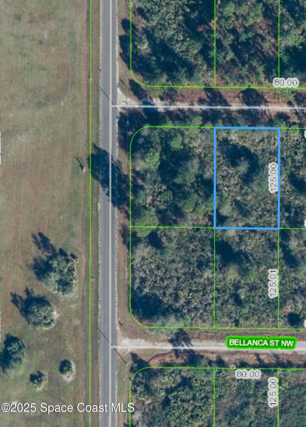 762 American St NW, Placid Lakes, FL 33852 - photo 1