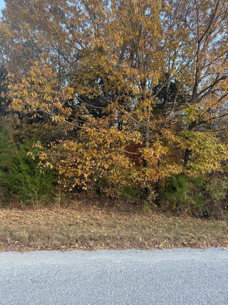 00 Kim Ln, Huntingdon, TN 38344 - photo 1