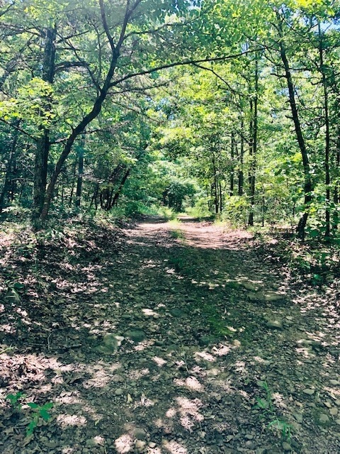 001-00638-000 Winn Creek Rd, Winslow, AR 72959 - photo 1