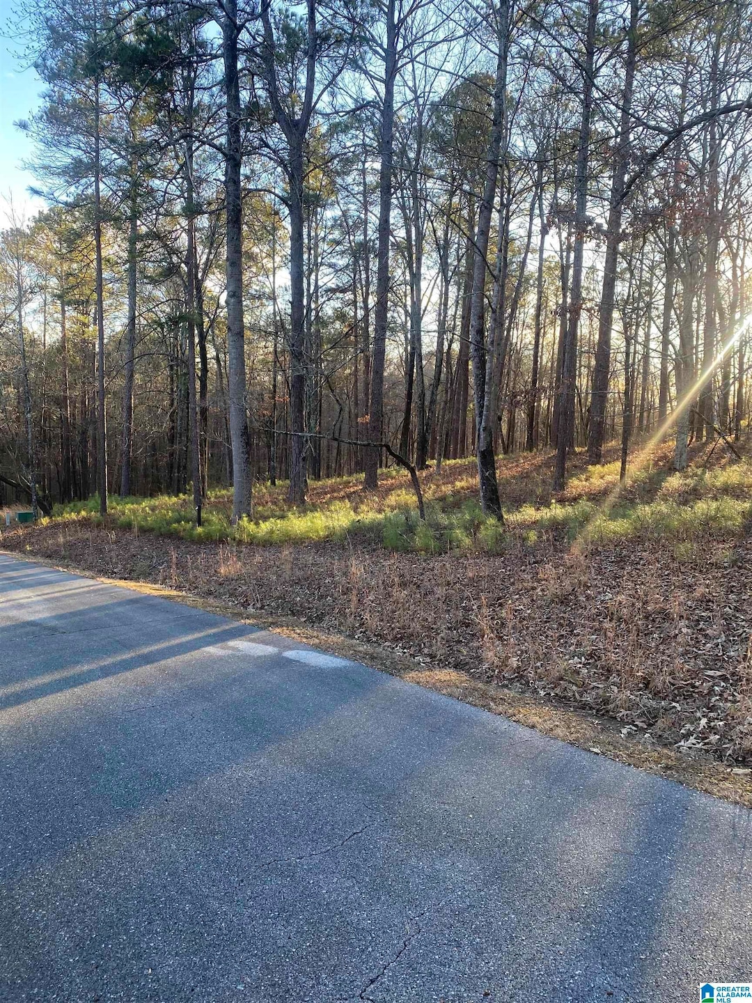 0 Vista Cir unit 26 21399216, Alpine, AL 35014 - photo 1