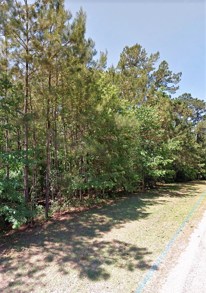 000 Eaton Rd, Tylertown, MS 39667 - photo 1