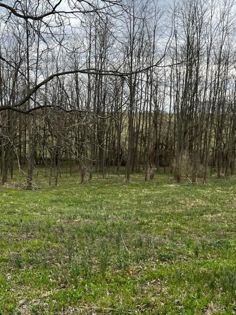 0 Sexton Ln, Harrodsburg, KY 40330 - photo 1