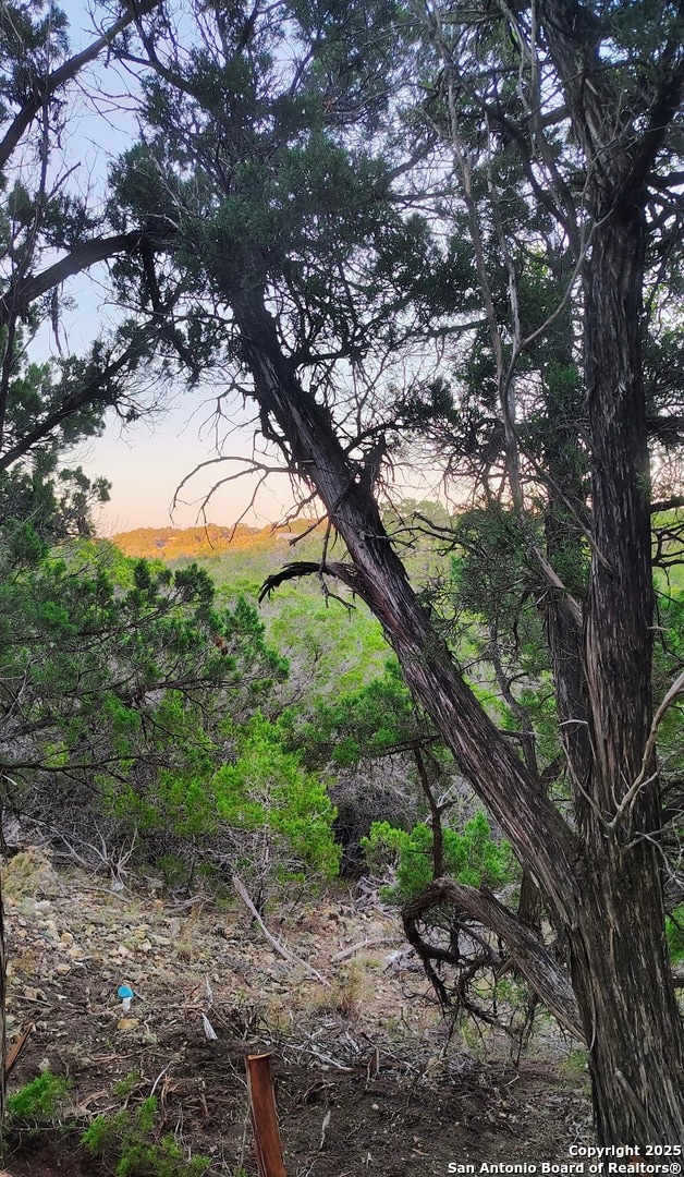 181 Deer Run Dr, Bandera, TX 78003 - photo 1