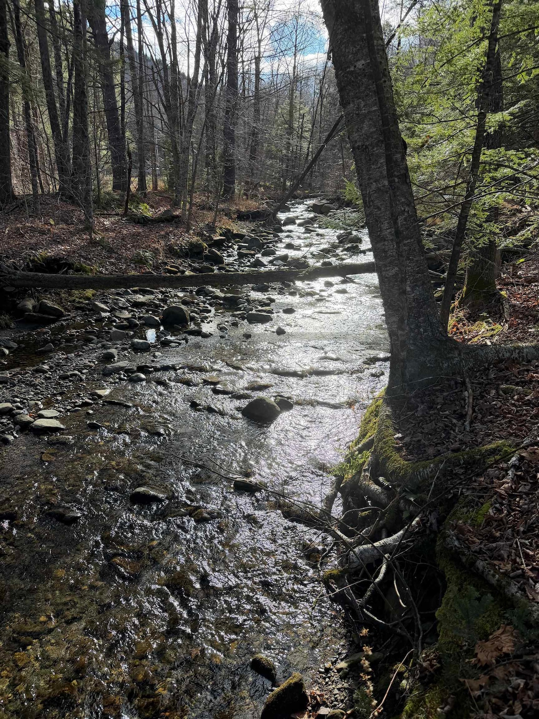 1720 Auger Hole Rd, Marlboro, VT 05344 - photo 1