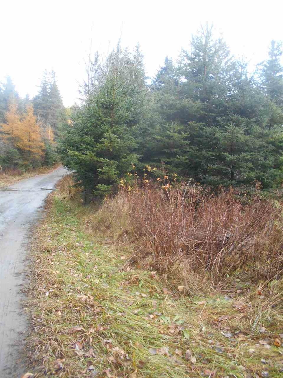 0 Brook Park Rd, Stewartstown, NH 03576 - photo 1