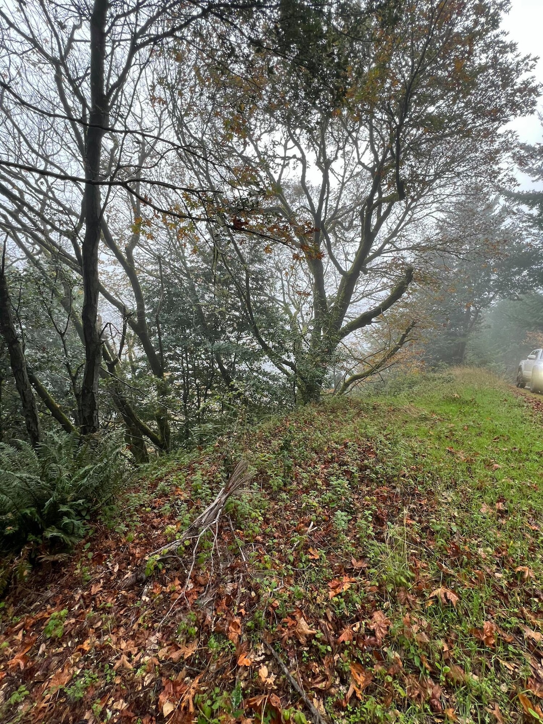 69 Otter Ln, Whitethorn, CA 95589 - photo 1