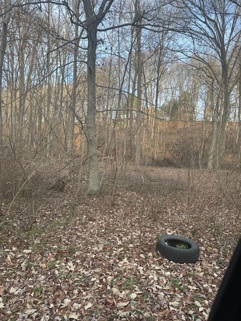 0 Lemaster Road, Athens, OH 1