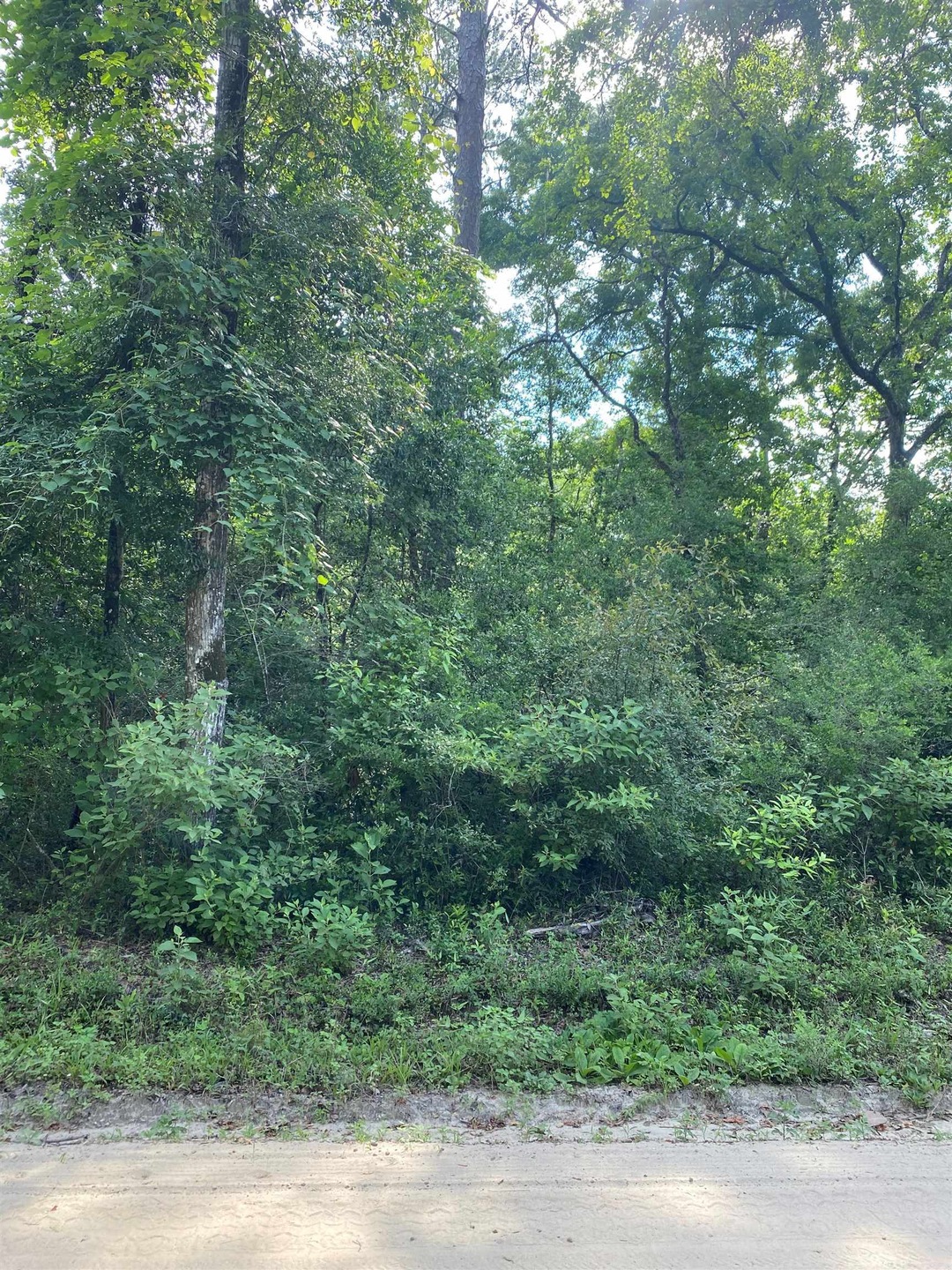 Lot 61 Iroquois Rd, Crawfordville, FL 32327 - photo 1