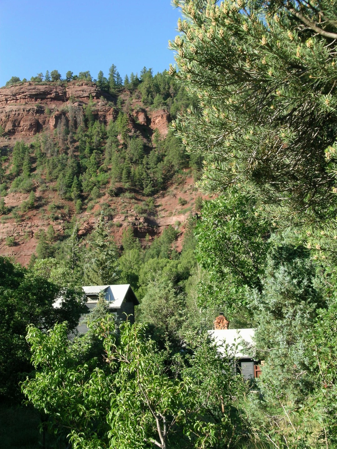 Deep in The Red Rocks