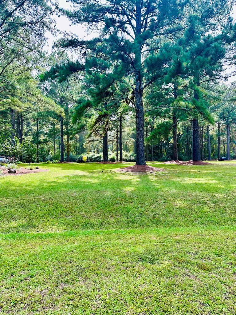 00 Drake Dr, Douglas, GA 31535 - photo 1