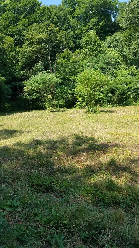 295 Old Mathis Hollow Ln, Stewart, TN 37175 - photo 1