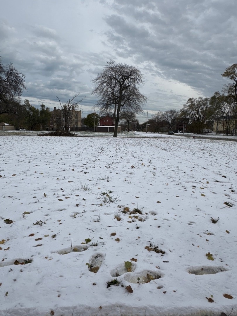 unlisted-address, Chicago, IL 60621 - photo 1