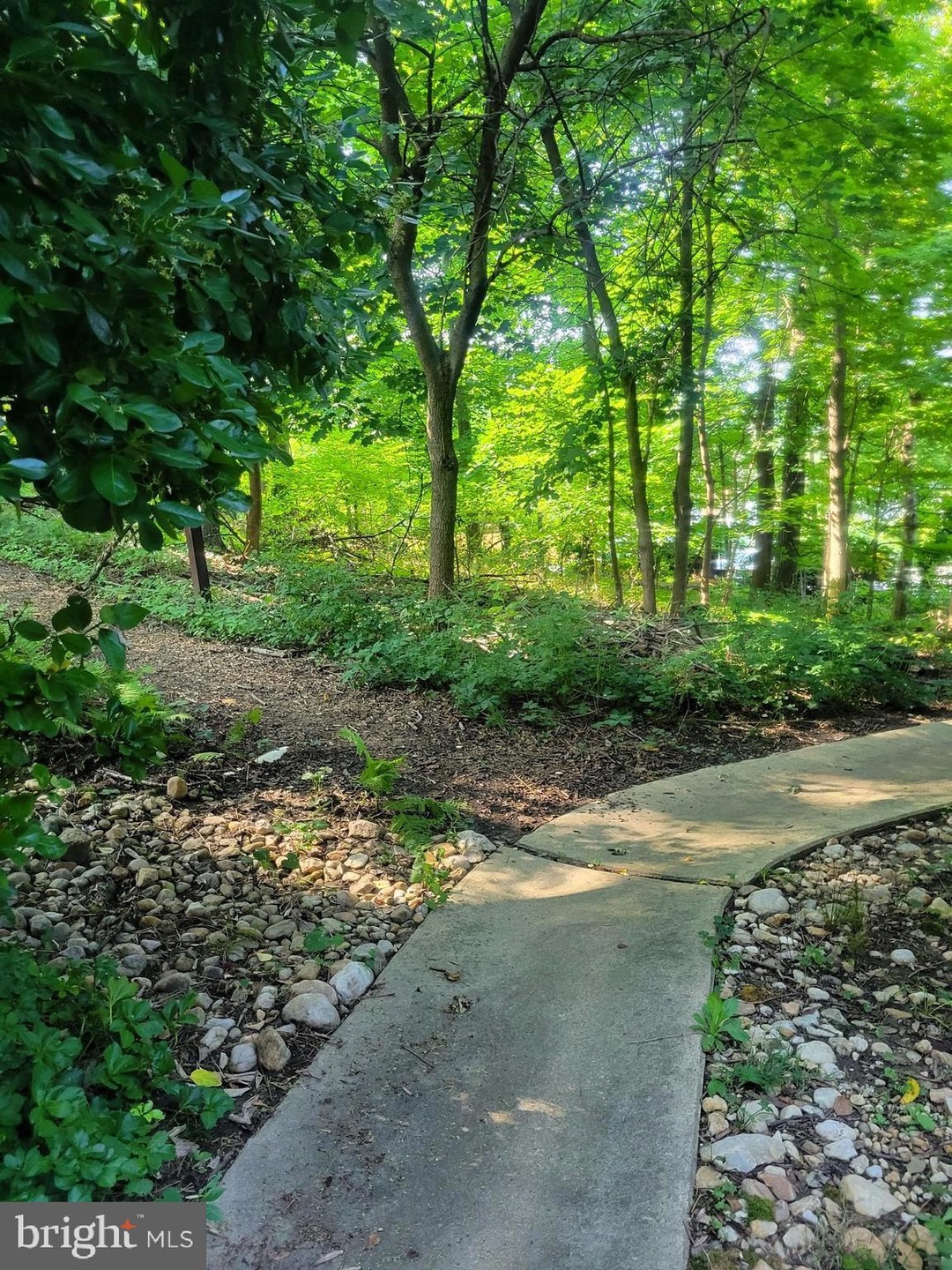 111 Cross Keys Rd unit R111D, Baltimore, MD 21210 - photo 1