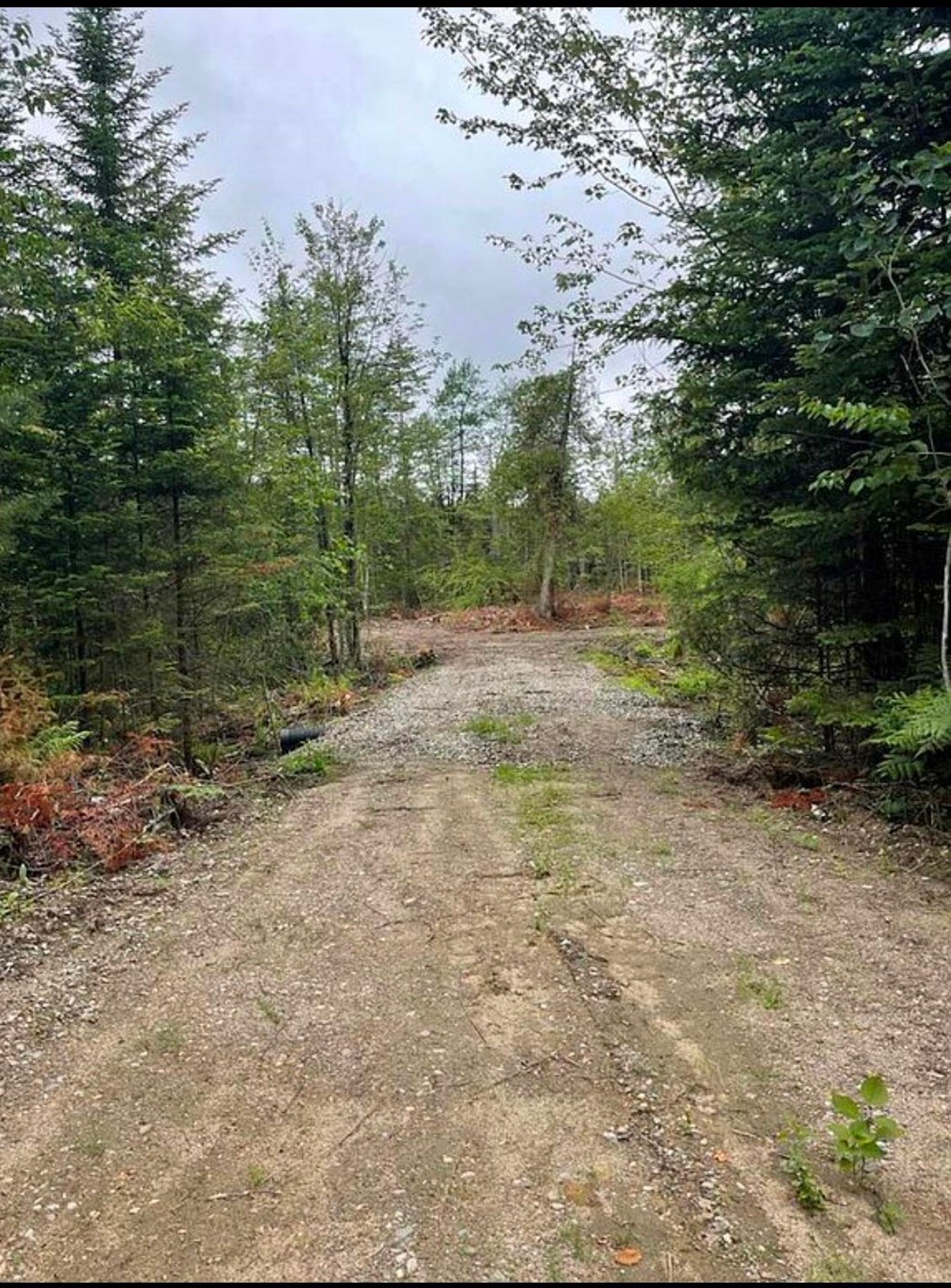 735 Route 102, Guildhall, VT 05905 - photo 1