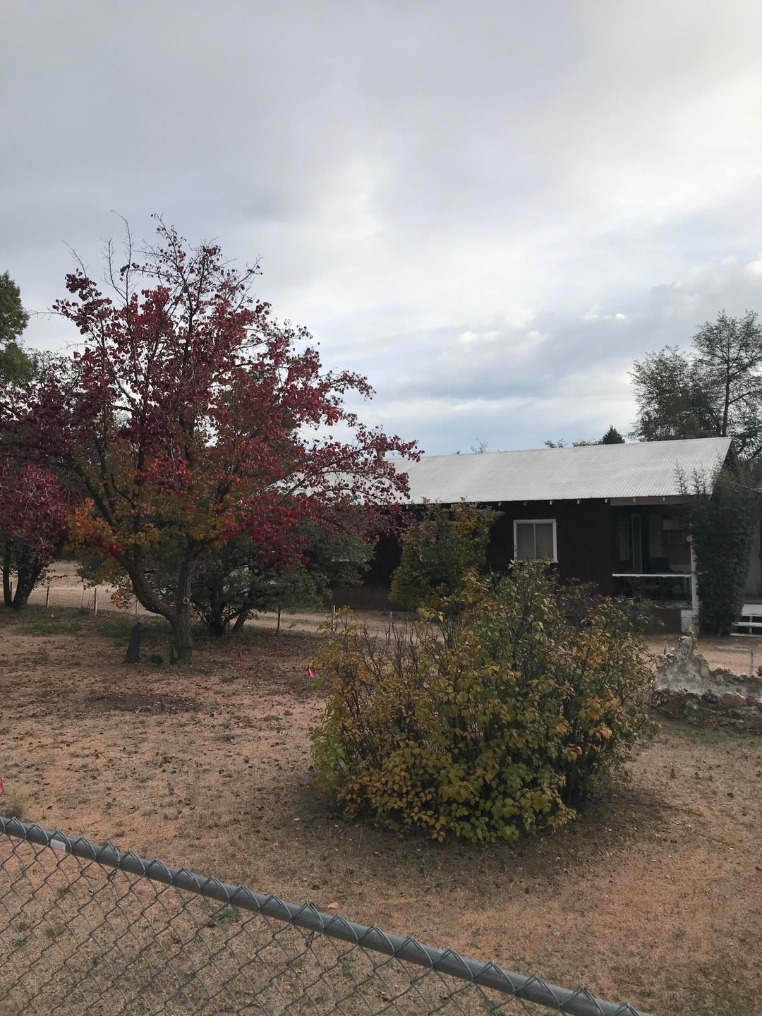 Lot 13 (503)