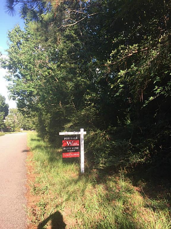 0 West Ln, Magnolia, TX 77354 - photo 1